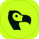 Dodo Payments logo